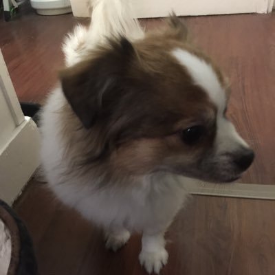 Eowyn1018's profile picture. Gaming & Sarcasm