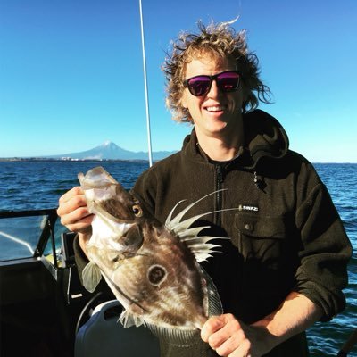 Sam38090961's profile picture. Learner