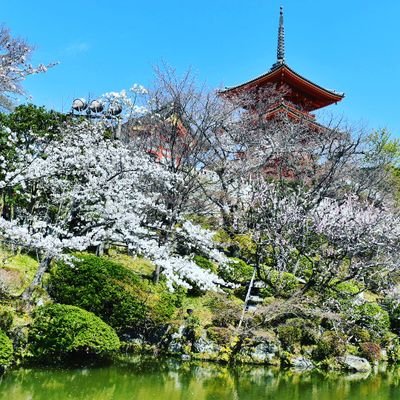 michihiro070511's profile picture. 