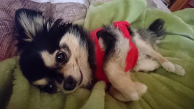 dia0321's profile picture. 2017年11月～BFFXで仮想通貨投資スタート😃
株、為替、先物と幅広く取引してます🌟
自分の事業+トレードもやりつつ、最近はNFTやP2Eにも力入れてますー！
いろんな方と情報交換したいので、どうぞ宜しくお願いします😃