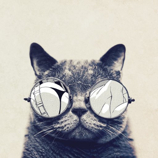 Teemers_'s profile picture. [+] Washed up gamer | Positivity consumer | Bob Ross is my spirit animal