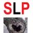 SundayLovePhila's profile image
