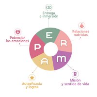 Perma: Cultura en Resiliencia (@perma_a) 's Twitter Profile