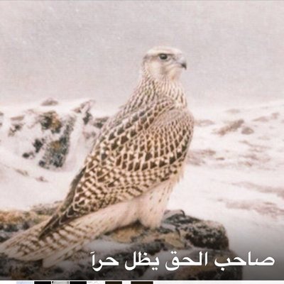 lookoutcom's profile picture. طفلتى خط احمر هسترة قلبي اسقيك من قلبى عذب القوافى من⭕️ الظلم والاهمال⭕️ ربي يشفيك/ الحق عند الله محفوظ/ 7/ يارب لاتنزع الرحمه من قلوبناقريبا سيظهرنور الحق ☝🏻