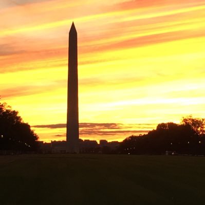 VOL girl living in DC 🍊🍊🍊