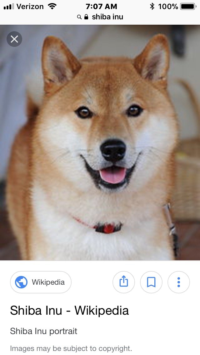 Soarlightning's profile picture. 