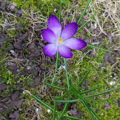 globeprintbxl's profile picture. Belçika'nın en büyük Türk matbaası...