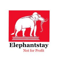 Elephantstay(@Elephantstay) 's Twitter Profile Photo
