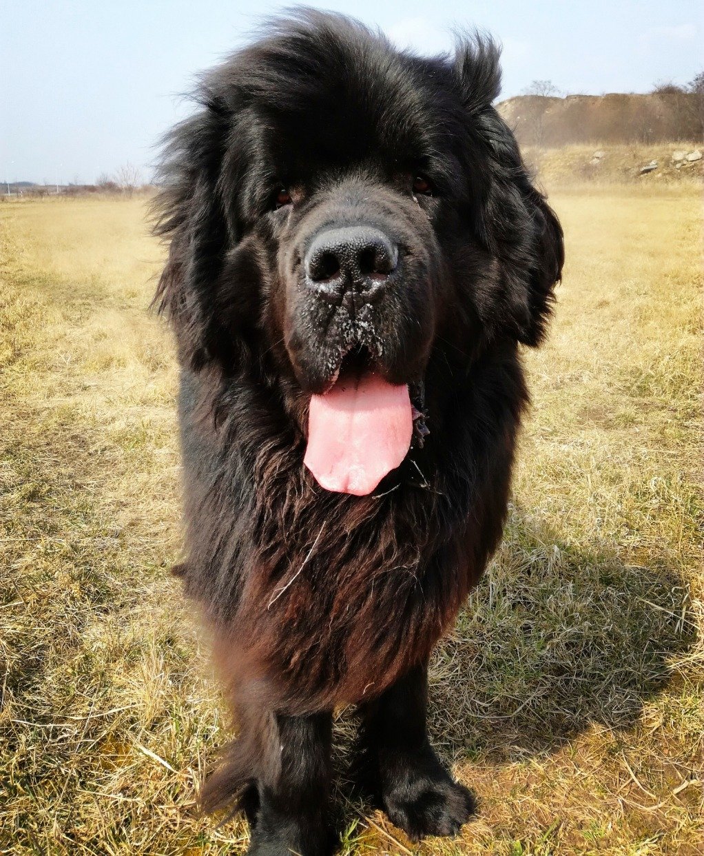 SendelinaSan's profile picture. 