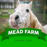 Mead Farm(@mead_farm) 's Twitter Profile Photo