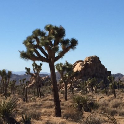 jsylvesterlaw's profile picture. 