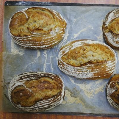 Sourdough bakery and café , baking real bread simply, deliciously & locally.