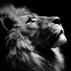 suryasingh188's profile picture. 