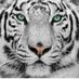MIGUEL (@miguelmiguel_24) Twitter profile photo MIGUEL (@miguelmiguel_24) Twitter profile photo
