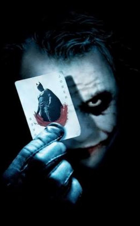 wilsonfsneto's profile picture. Preserve a natureza!