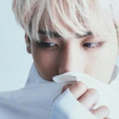 hatelessanimal's profile picture. transmasc, gay, singapore.  an old, studying game design. i like board and video games, and also kpop.  (he/they) 🏳️‍⚧️ 🇸🇬 🏳️‍🌈