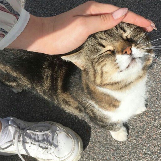 Ms_Properr's profile picture. 