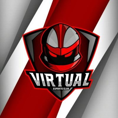 VirtualTeam ©® Profile
