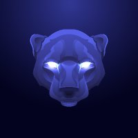 Panther Proxies(@PantherProxies) 's Twitter Profile Photo