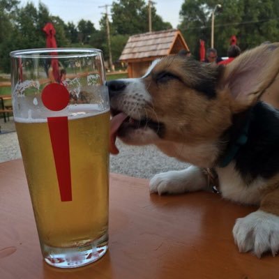 KCBierDog's profile picture. Founder of the Kansas City Bier Company, author of Handbook of Basic Brewing Calculations, GABF Judge, Chief Editor of The Beer Steward Handbook.