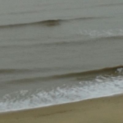 EllieBlackman2's profile picture. Kind