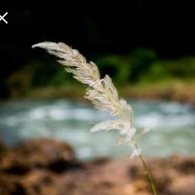 wannisa46656049's profile picture. ไม่มีคำว่าสายเกินไป... ถ้าเราเริ่มทำมัน