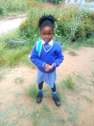 tagwie05's profile picture. Agric consultant, worked with ministry of Education and Agriculture,  successful Farmer