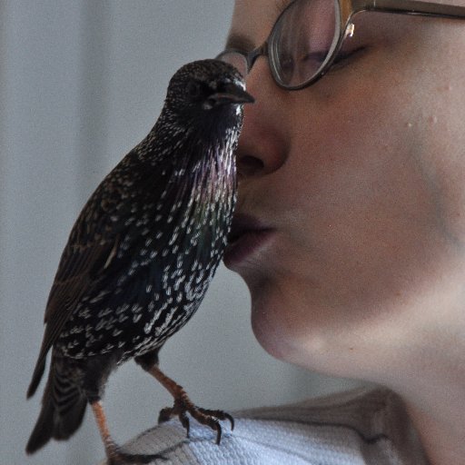 earthtoerika's profile picture.