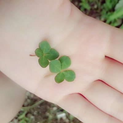 yu_kimaru's profile picture. ^._.^💤