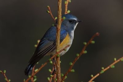 WBUcsHaFGVC4K2E's profile picture. 自然に還ります…