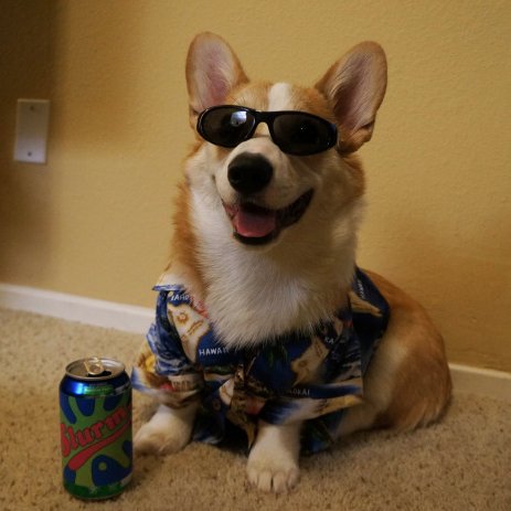 Ng2224's profile picture. Gamer