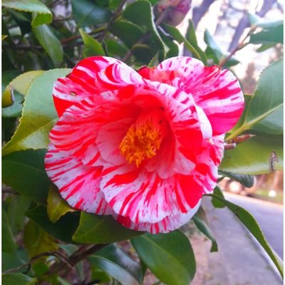 ahffkd1203's profile picture. 아름답게 바라보는 긍정의 힘 》감사의 마음