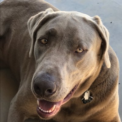 Westin93275605's profile picture. 