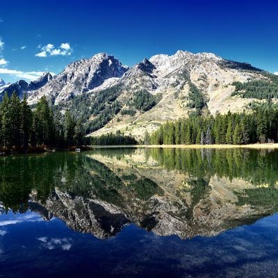 tahmoume's profile picture. Actualités