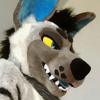 Fursuit account for Gauss! • will yeen for burritos • bites things • 🔞