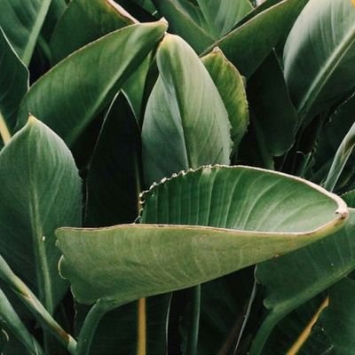 Benkimi62626592's profile picture. Where is the adalet God?