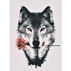 RobbStarkTV's profile picture. Gaming