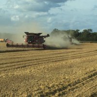 Mann Farms (@mann_farms) 's Twitter Profile Photo Mann Farms (@mann_farms) 's Twitter Profile Photo