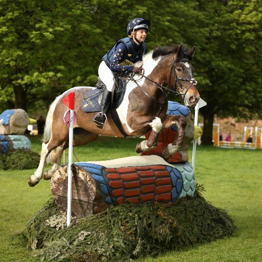 Grassroots eventing adventures of one rider and her unconventional eventer!