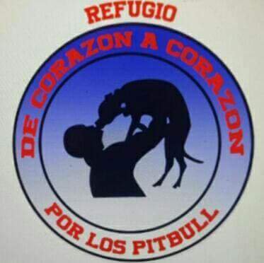 Decorazonacor10's profile picture. 