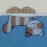 ToPaZ (@astopaz2dx) 's Twitter Profile Photo