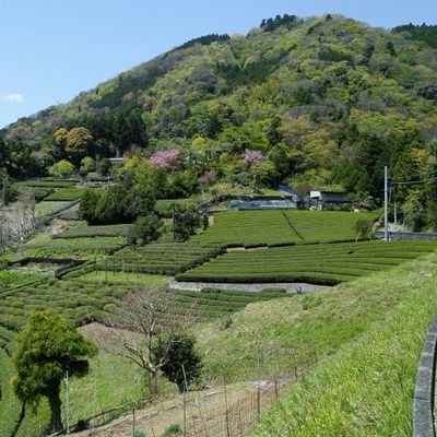 NPO法人丹沢自然学校のPRアカウントです。丹沢自然学校からのお知らせや、丹沢に関すること、自然に関することをつぶやきます。
NPO法人 丹沢自然学校は、丹沢の自然・文化を人々に伝えると共に、丹沢地域に暮らす人々との交流を図り、自然環境および地域文化の保護・保全に貢献することを目的とした、非営利の丹沢のガイド団体です