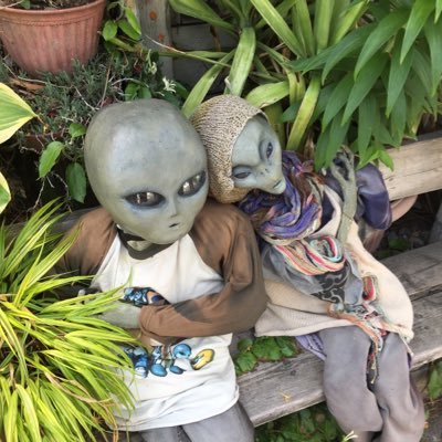 fmit1975's profile picture. 