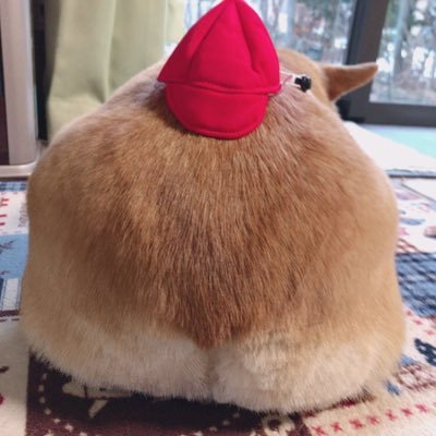 ことさんのプロフィール画像