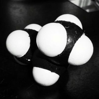 toloro_pan's profile picture. ハートをキャッチ&リリース！（っ'-')╮ =͟͟͞͞♥️ﾌﾞｫﾝ