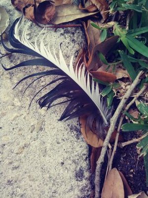 JackArcherTweet's profile picture. Cymbals