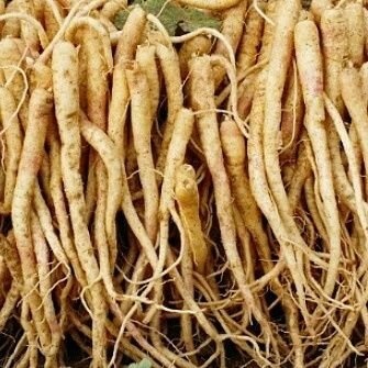 If_so_mor's profile picture. 알티실수가 있을 수 있습니다...