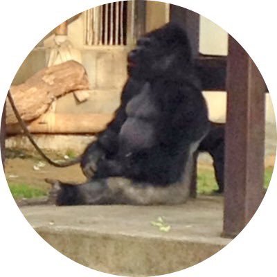 田山 郎太さんのプロフィール画像