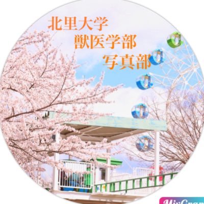 北里大学獣医学部写真部/部員大募集/I初心者でも大歓迎🌸/ご質問等あればお気軽にDMまで✨/#春から十和田