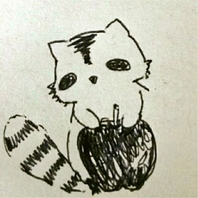 秋山🦝さんのプロフィール画像